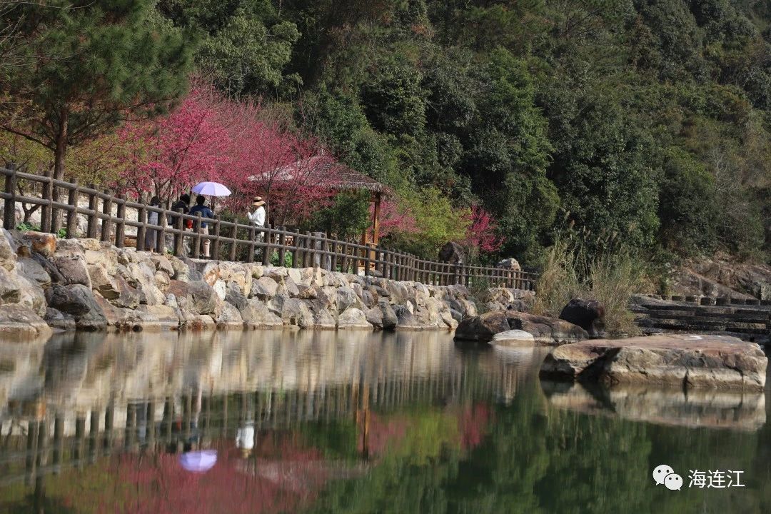 DM_20230130105715_004