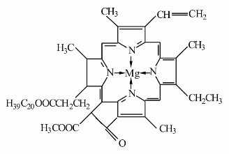 pagenumber_ebook=206,pagenumber_book=206