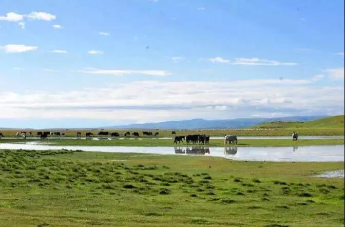 微信图片_20181211131413 微信图片_20181211131413.jpg?v=1765700939054