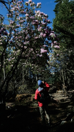 pagenumber_ebook=82,pagenumber_book=70