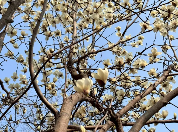 bdad7c5898fddca05a578d529c21d605 bdad7c5898fddca05a578d529c21d605png