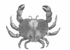 pagenumber_ebook=195,pagenumber_book=189