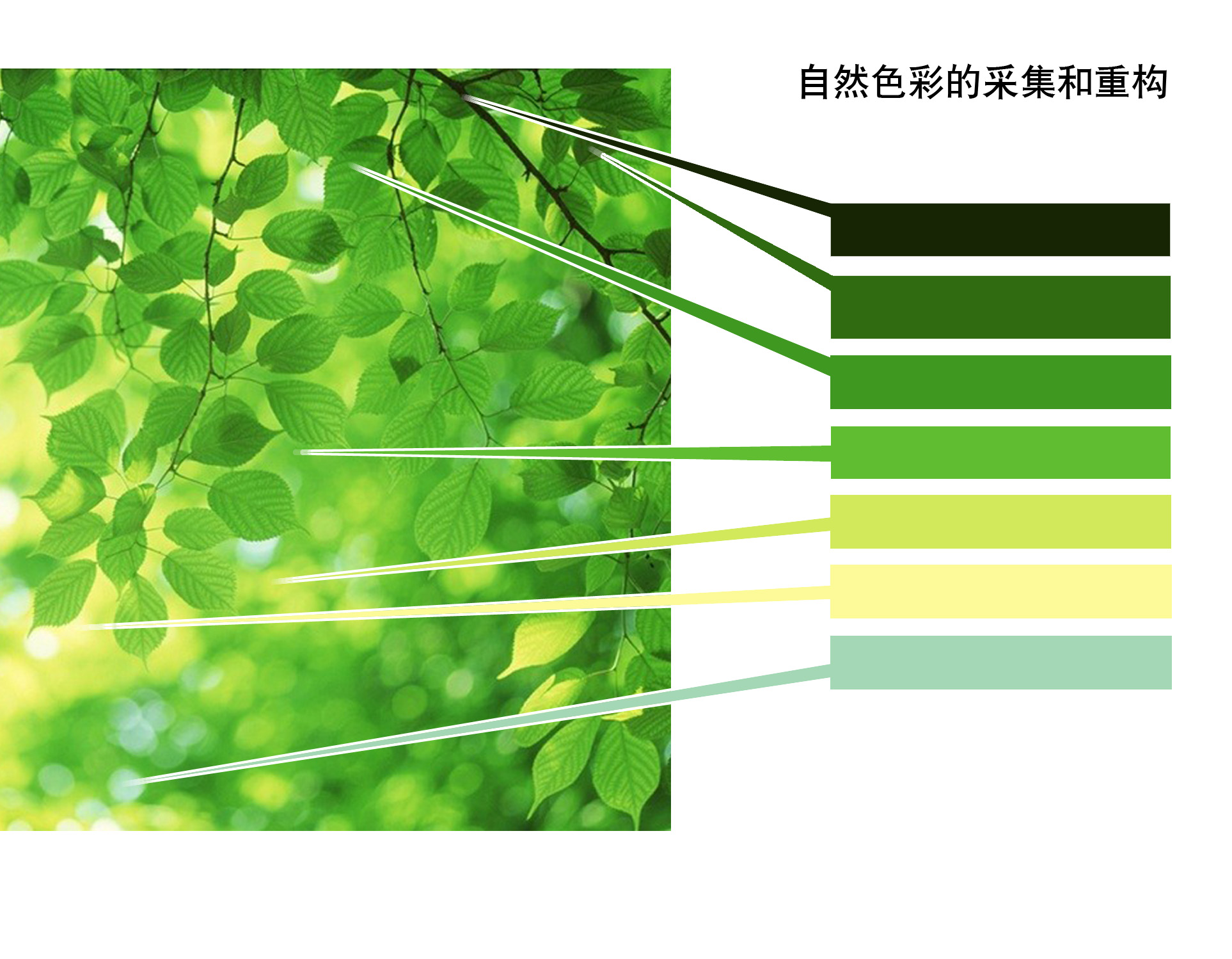 色彩的采集与重构练习