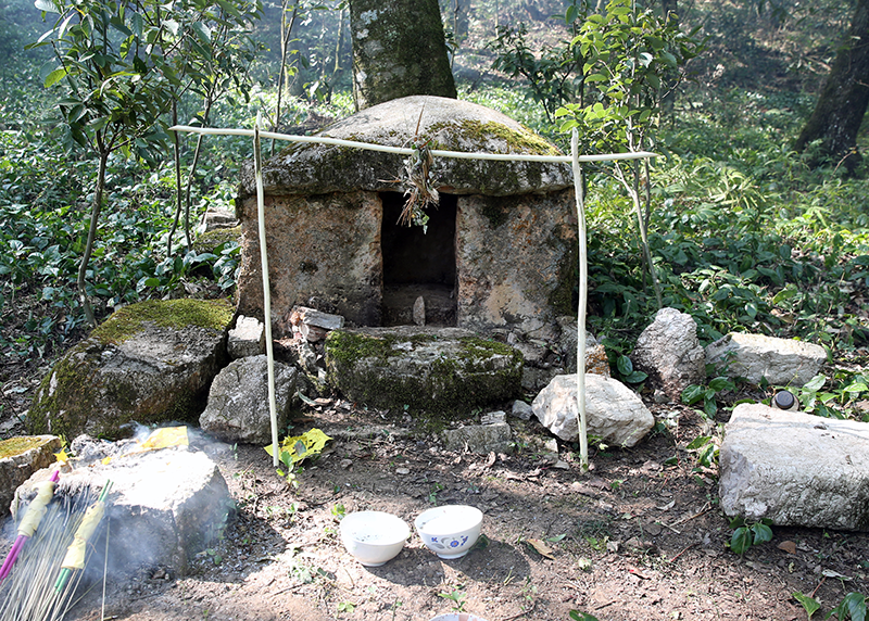 2图片二-山神•树神•石神