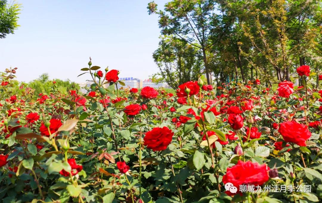 微信图片_20200522110059 微信图片_20200522110059.jpg