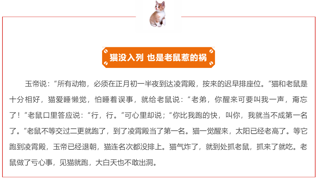 26 26.png?v=1762383310847