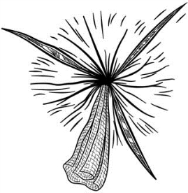 pagenumber_ebook=607,pagenumber_book=592