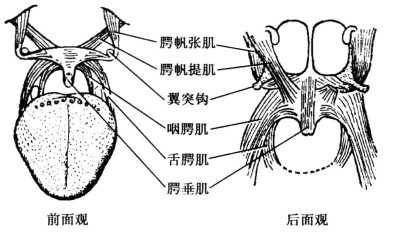 pagenumber_ebook=111,pagenumber_book=102