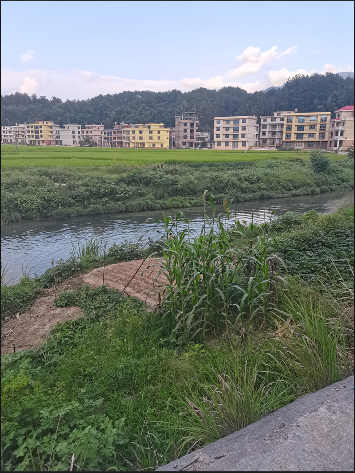 e075564fba56c6f4ea5e0e4aec3c041