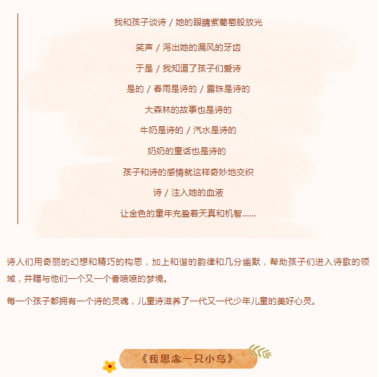 image.png?v=1750227509462