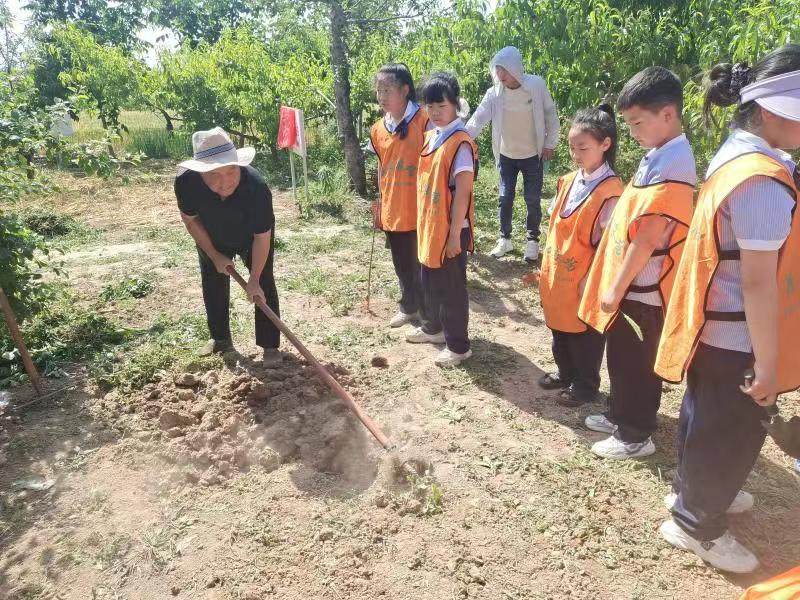 642a1201de2a44cd7226fa326371f73