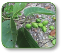 pagenumber_ebook=297,pagenumber_book=284