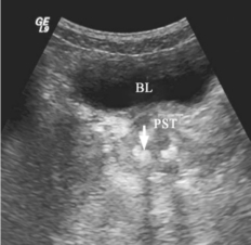 pagenumber_ebook=646,pagenumber_book=646