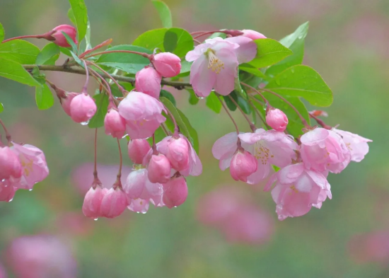 image image.png?v=1770185954788