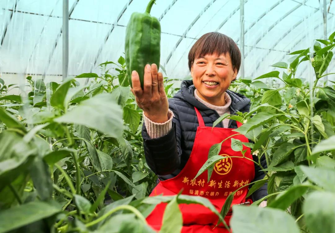 微信图片_20211128110346