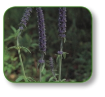 pagenumber_ebook=19,pagenumber_book=6