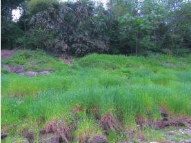 pagenumber_ebook=30,pagenumber_book=30