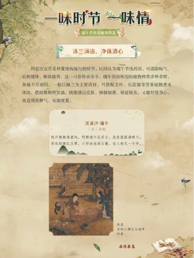 image.png?v=1782174181266