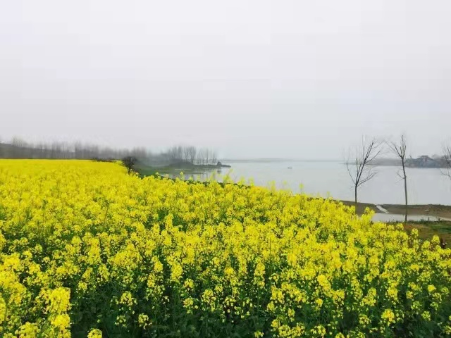 8 8.png?v=1765771983196