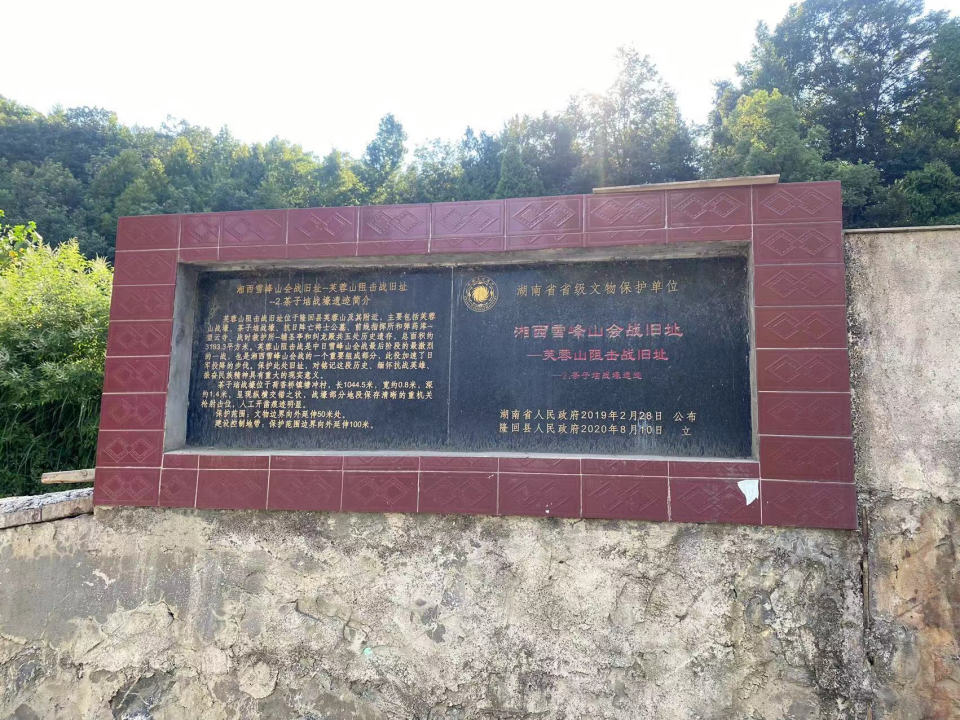image.gif