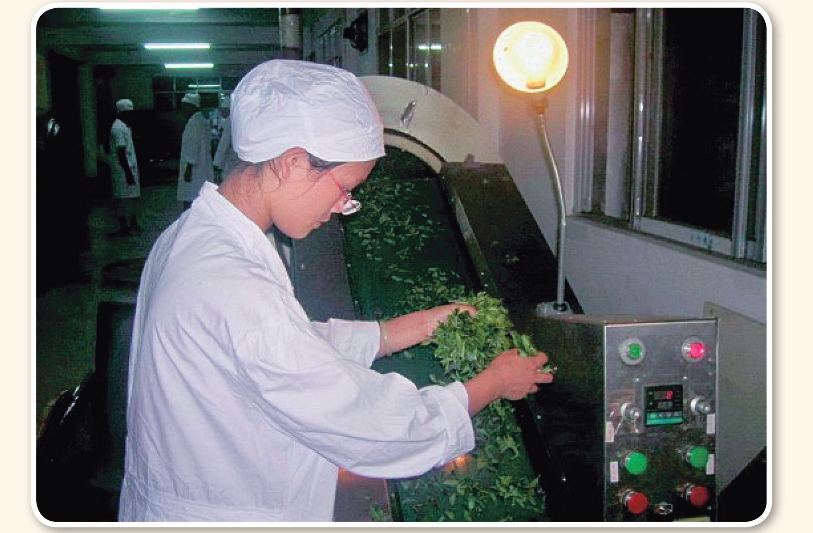 pagenumber_ebook=163,pagenumber_book=153