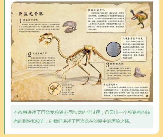 image.png?v=1750240592262