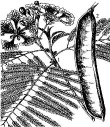 pagenumber_ebook=87,pagenumber_book=87