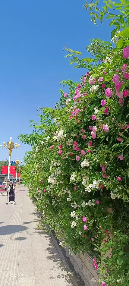 微信图片_2025-08-19_161317_496.jpg
