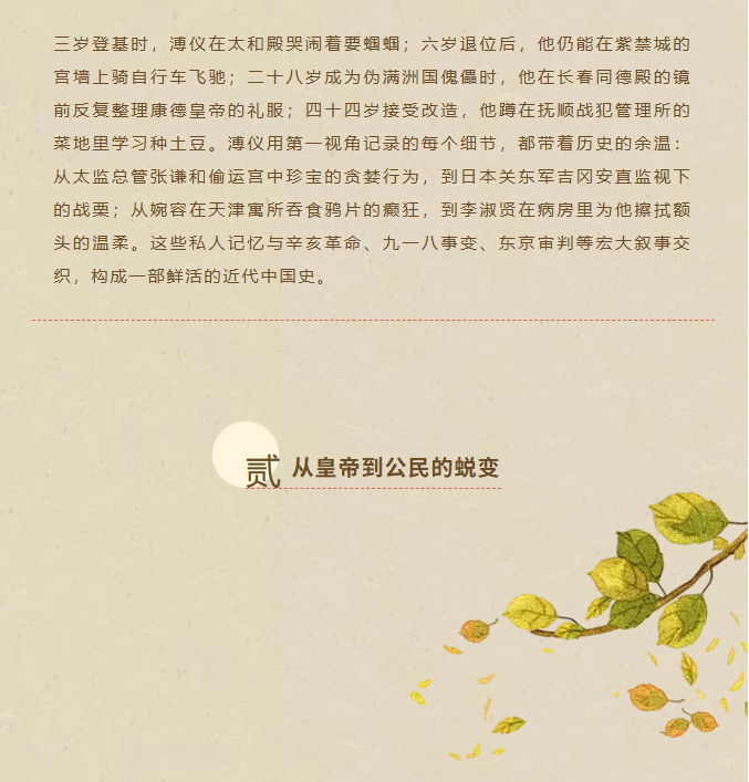 image.png?v=1762073801073