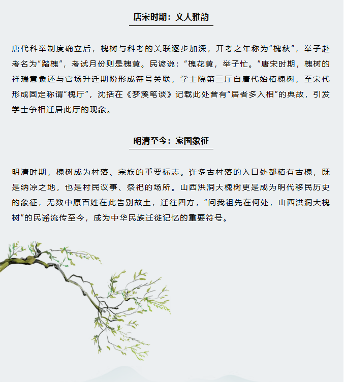 image.png?v=1766278387980