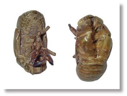 pagenumber_ebook=29,pagenumber_book=16