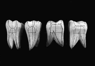 pagenumber_ebook=210,pagenumber_book=201