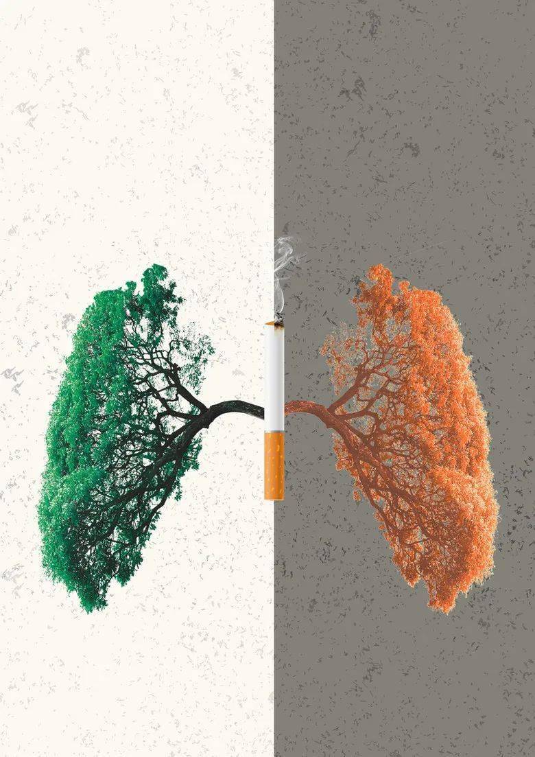 84c60f3509434383a326c66c833ff1dd