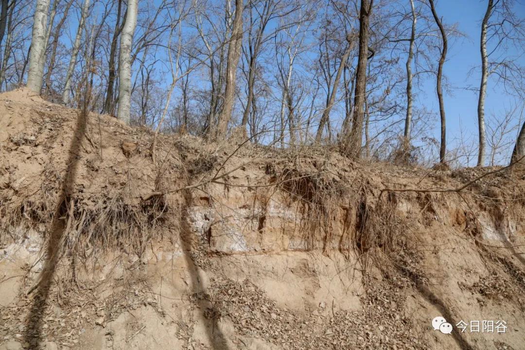 微信图片_20210202092513