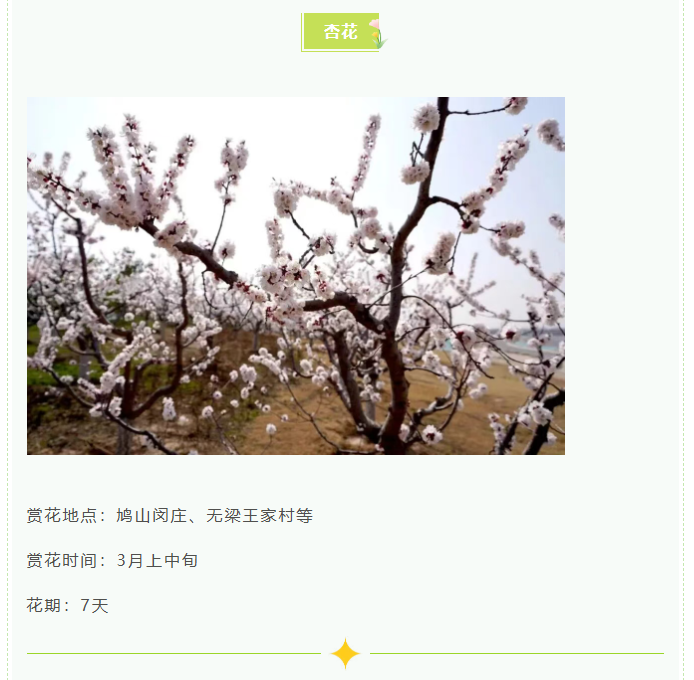 d6f0dcd0eadad9bb268d4cdce33c610dpng