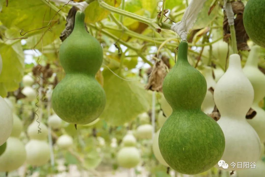 微信图片_20210812101130