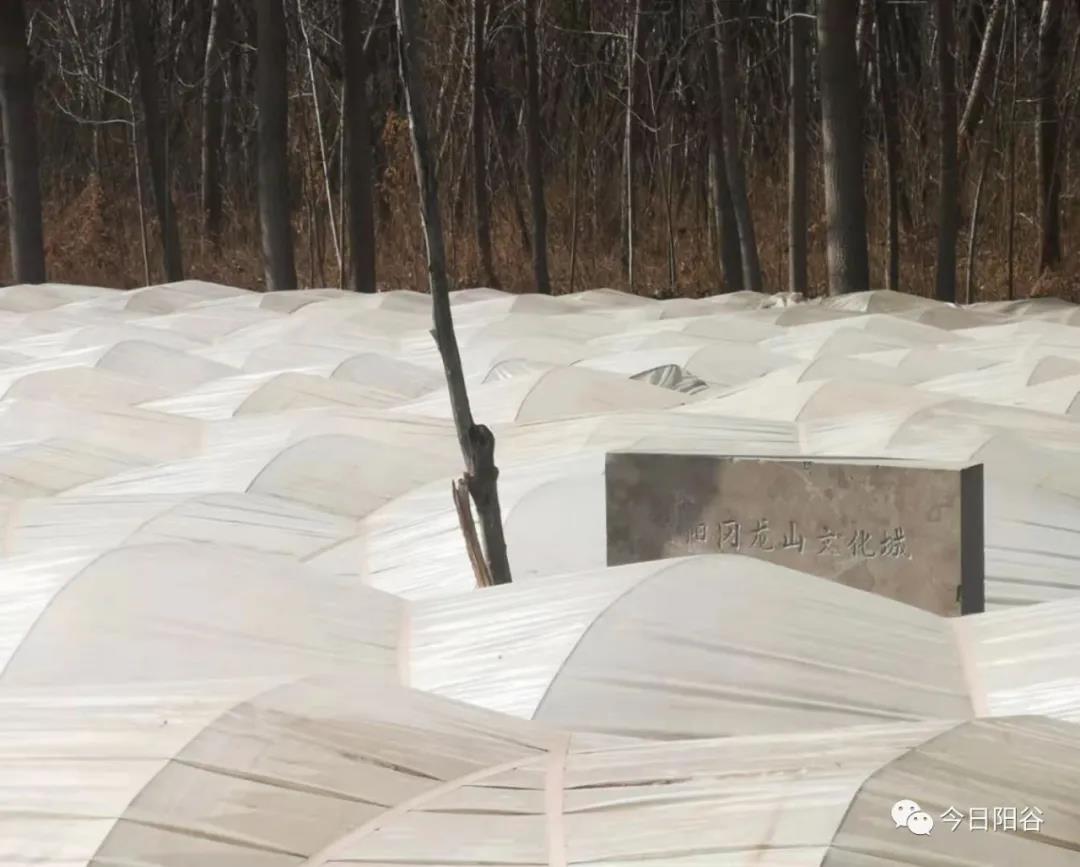 微信图片_20210202092510