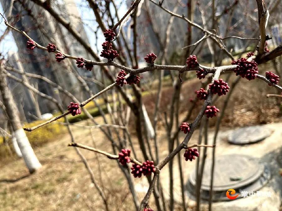 微信图片_20210308084921 微信图片_20210308084921.jpg