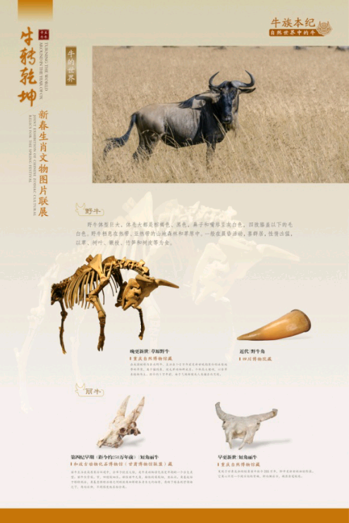 TIM图片20210207114315 TIM图片20210207114315.png