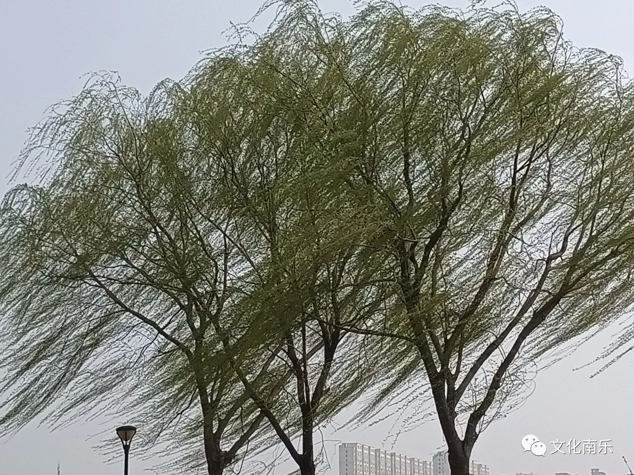 497fb7e2e8c60ade19eb80dc05c64461 497fb7e2e8c60ade19eb80dc05c64461.jpg