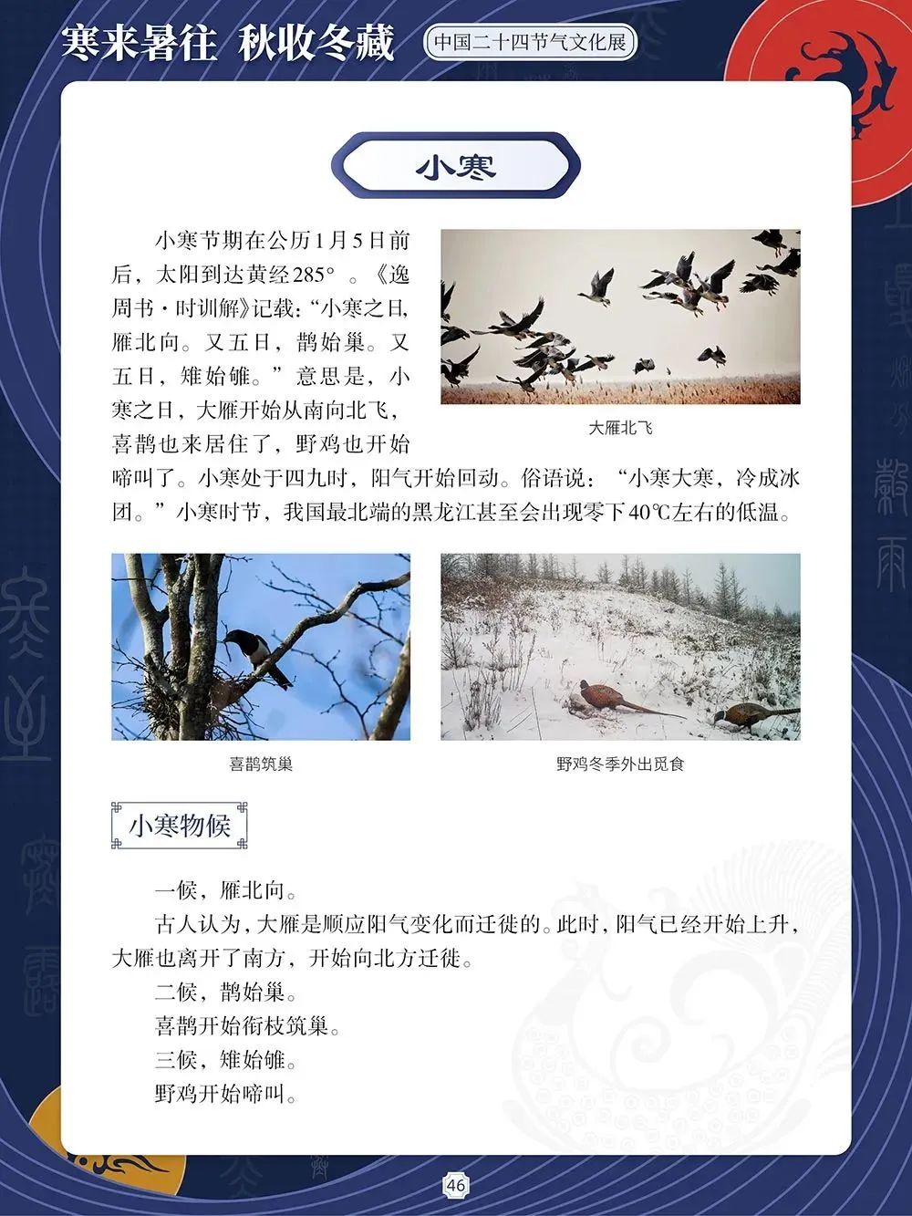 e97565eea46eda0ae6866347ffc340af e97565eea46eda0ae6866347ffc340af.jpg