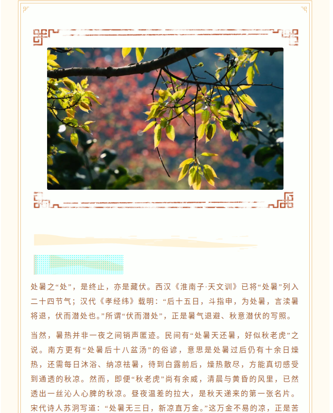 image.png?v=1787517468287