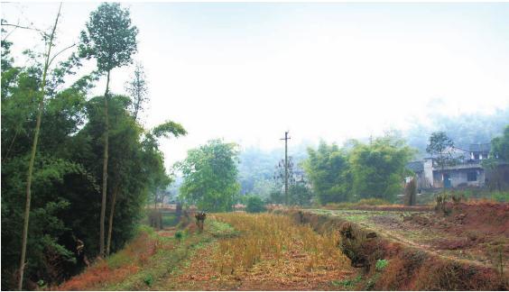 pagenumber_ebook=38,pagenumber_book=38