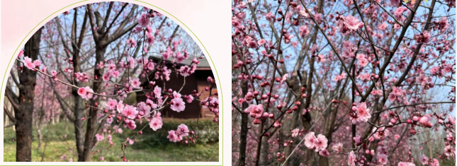 cbc804338710c866e7c188873d2db1be cbc804338710c866e7c188873d2db1bepng