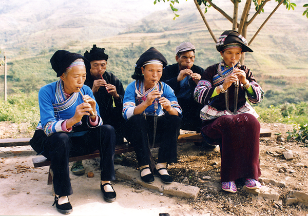 虫茧巴乌02 虫茧巴乌02.png