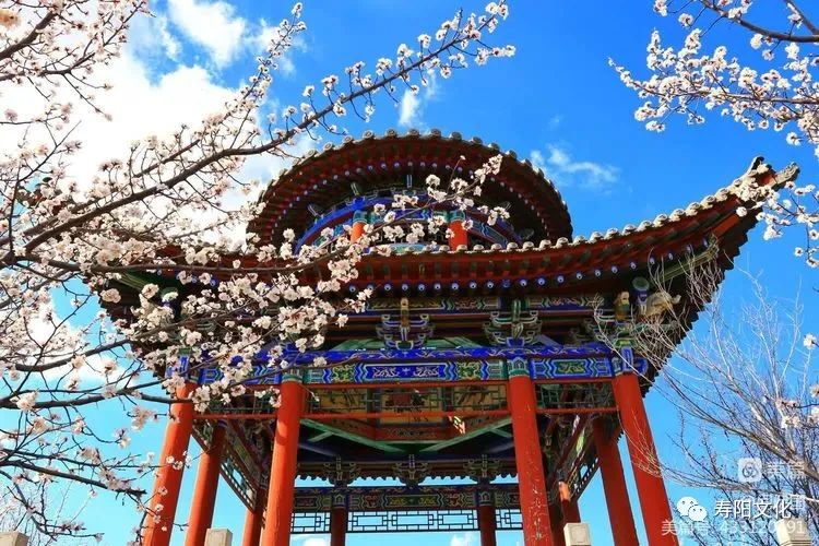 微信图片_20230414095909