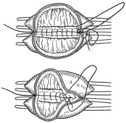 pagenumber_ebook=138,pagenumber_book=123