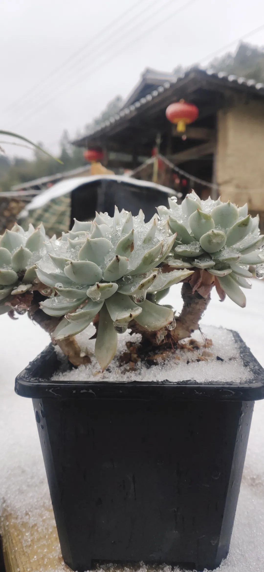 微信图片_20220225091954 微信图片_20220225091954.jpg