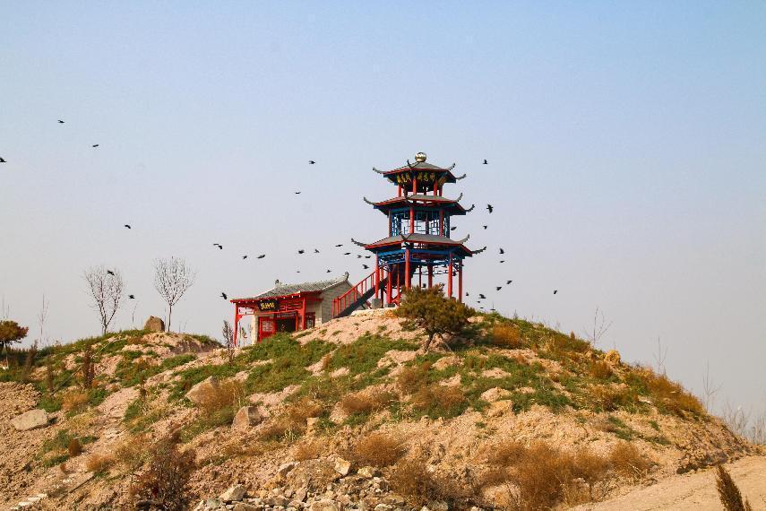 《二牛的歪脖老母》姚旗