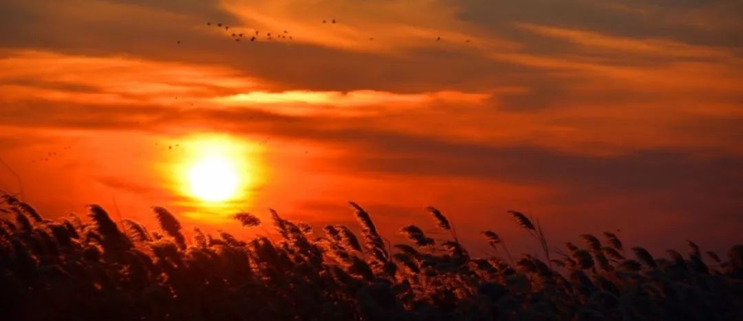 0cbbab9aaaf4ccb4a72bcb4c76145366 0cbbab9aaaf4ccb4a72bcb4c76145366.jpg